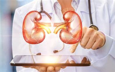 When To See A Nephrologist?