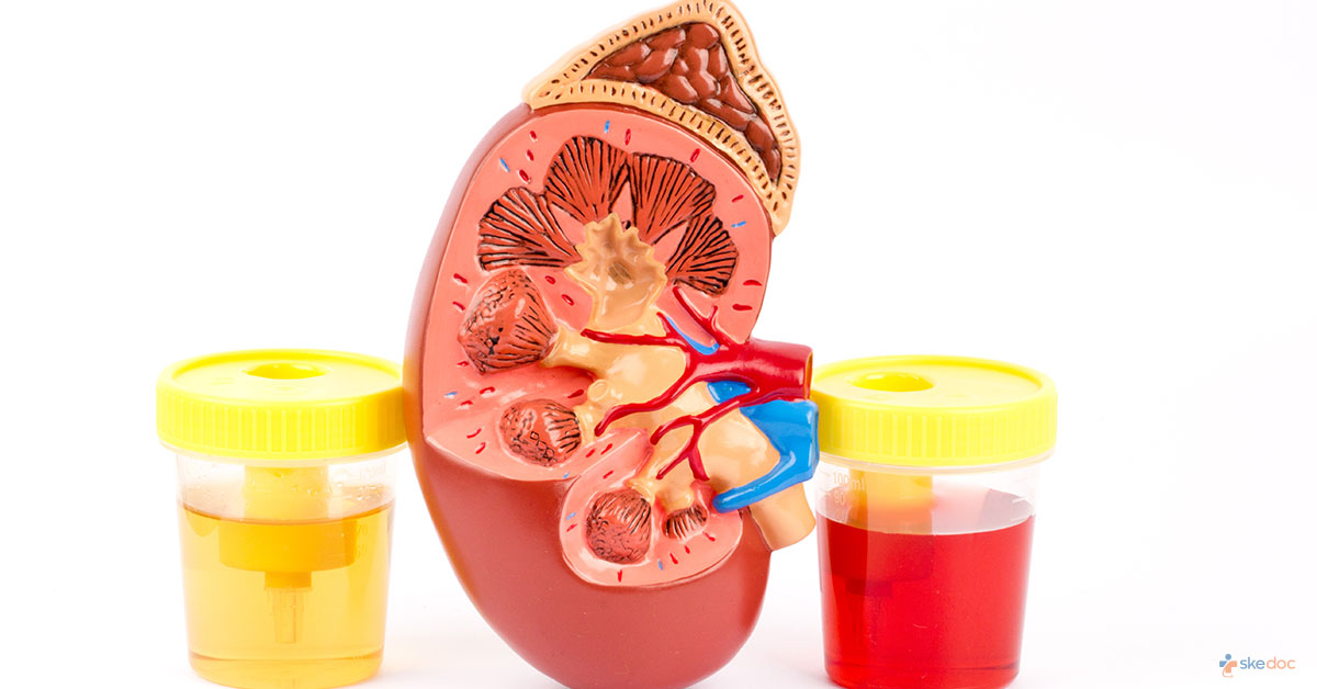 Types Of Kidney Function Tests
