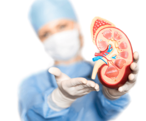 Kidney-Transplant-FEATURE
